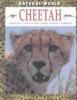 Cheetah : habitats, life cycles, food chains, threats
