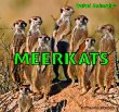 Meerkats