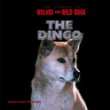 The dingo
