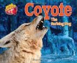 Coyote : the barking dog