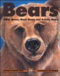 Bears : polar bears, black bears and grizzly bears