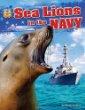 Sea lions in the Navy