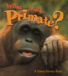 What is a primate