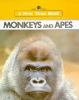 Monkeys and apes