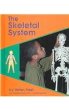 The skeletal system