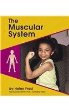 The muscular system