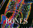 Bones : our skeletal system