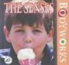 The senses