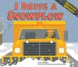 I drive a snowplow