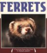 Ferrets