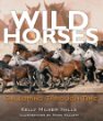 Wild horses : galloping through time