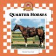 Quarter horses
