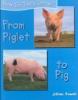 From piglet to pig