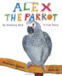 Alex the parrot : no ordinary bird