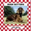 Irish setters