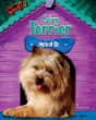 Cairn terrier : hero of Oz