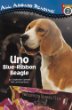 Uno : blue-ribbon beagle