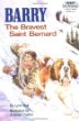 Barry, the bravest Saint Bernard