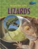 The wild side of pet lizards