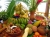 Food and recipes of the Caribbean