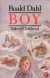 Boy : tales of childhood