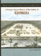 A primary source history of the colony of Georgia