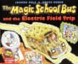 The magic school bus and the electric field trip