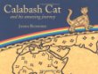 Calabash Cat and his amazing journey