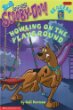 Scooby-Doo : howling on the playground
