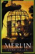 Merlin : the young Merlin trilogy, book three