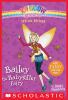 Bailey the babysitter fairy
